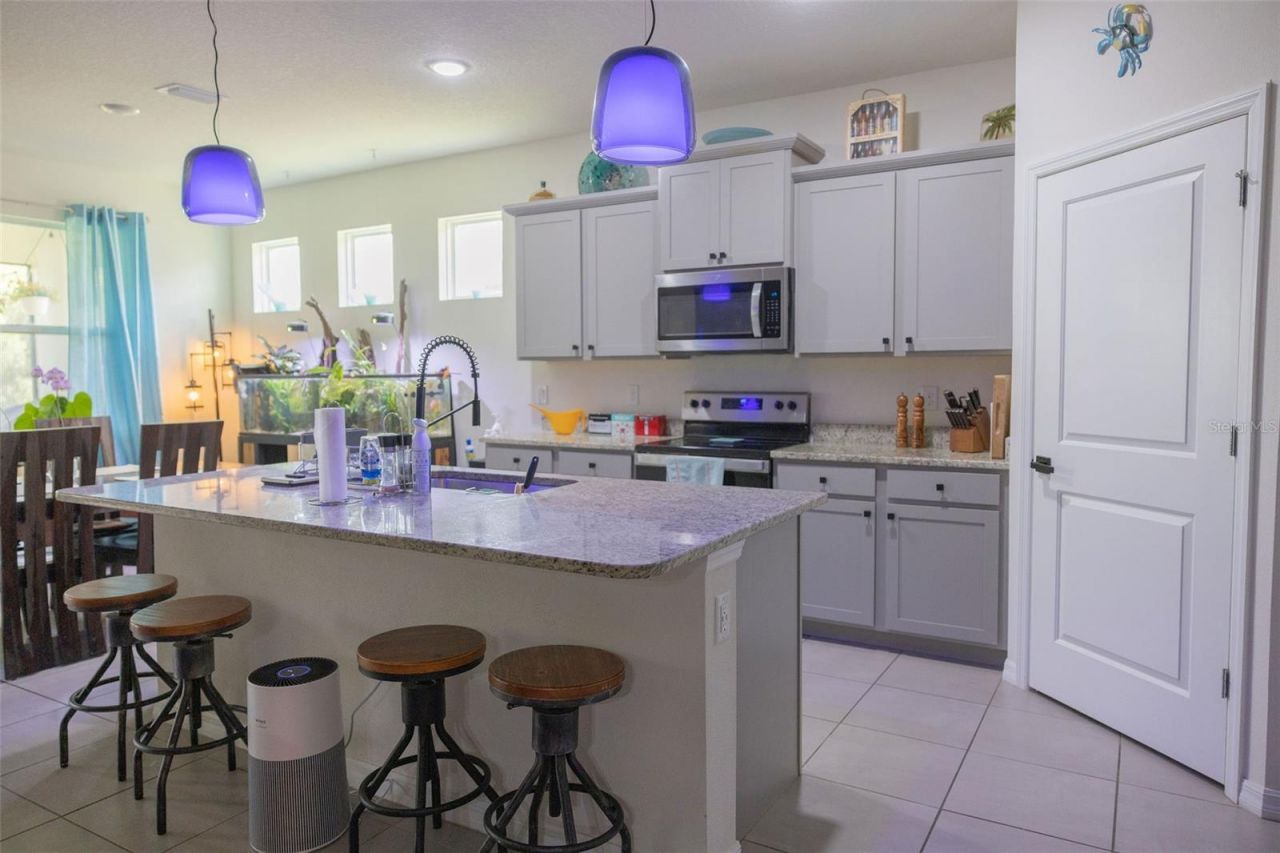 3852 Mossy Limb Court, Palmetto, FL 34221 Photo