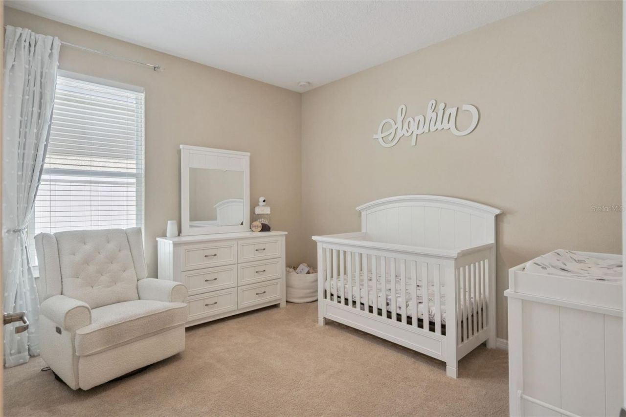 253 Sparrow Hawk Drive , Groveland, FL 34736 Photo