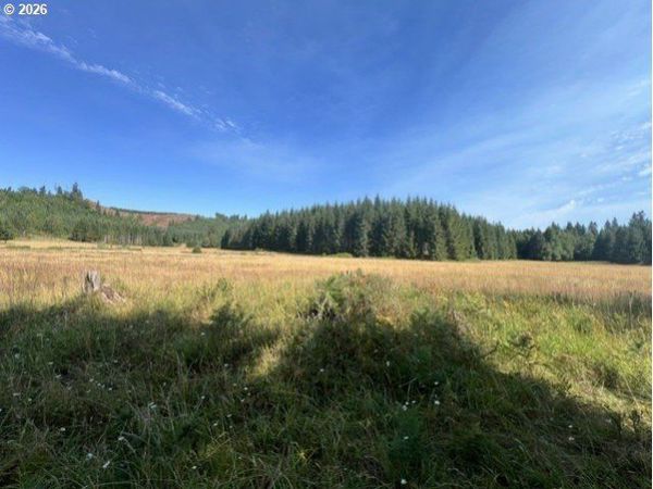 Timber RD, Vernonia, OR 97064