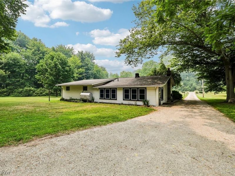 9793 Clay Street, Montville, OH 44064 Photo 39