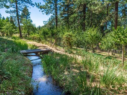 10367 S Ponderosa Way, Rough and Ready, CA 95975 Photo