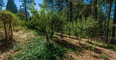 10367 S Ponderosa Way, Rough and Ready, CA 95975 Photo