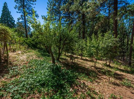 10367 S Ponderosa Way, Rough and Ready, CA 95975 Photo