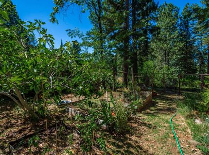 10367 S Ponderosa Way, Rough and Ready, CA 95975 Photo
