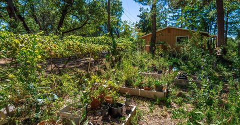10367 S Ponderosa Way, Rough and Ready, CA 95975 Photo