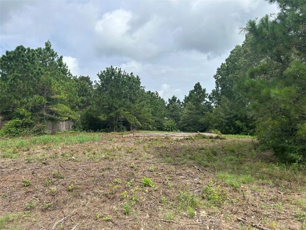 158 Cardinal LOOP , Paige, TX 78659