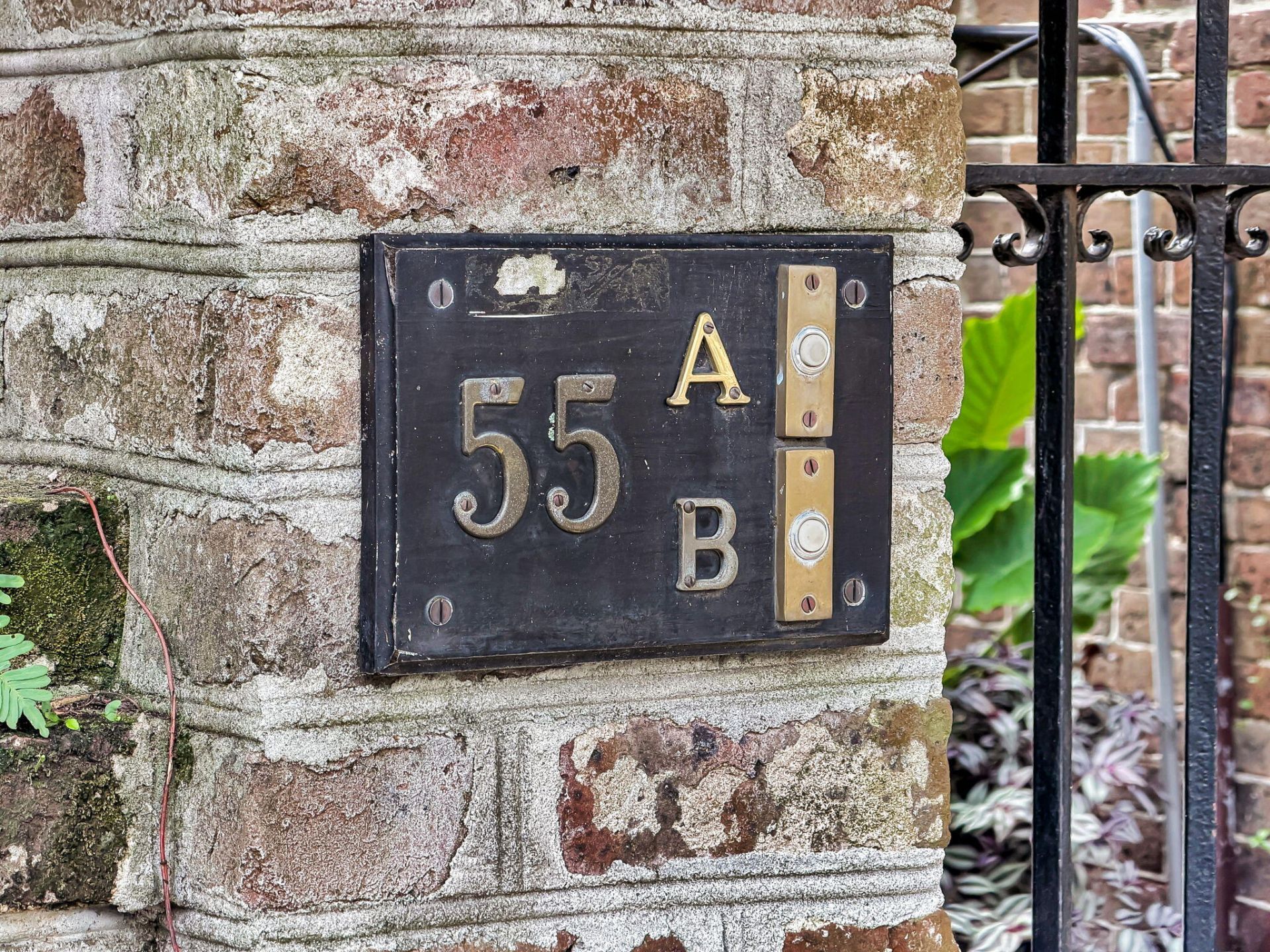 55 Laurens Street Photo 45