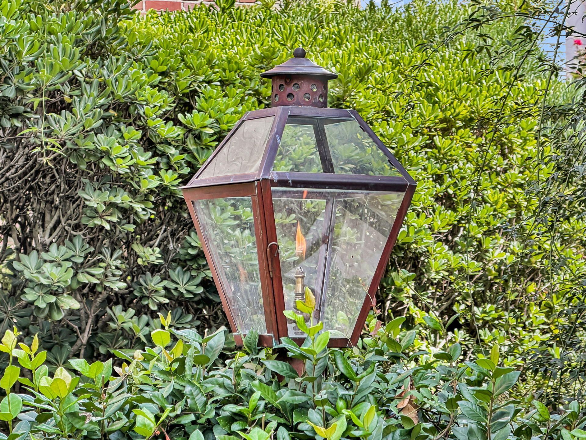 55 Laurens Street Photo 61