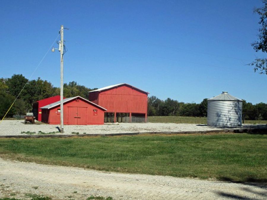 Property Image 13