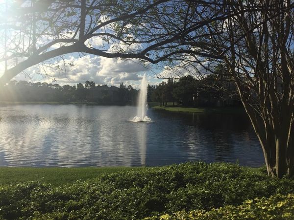 4163 N Haverhill Road, Unit 1217, West Palm Beach, FL 33417