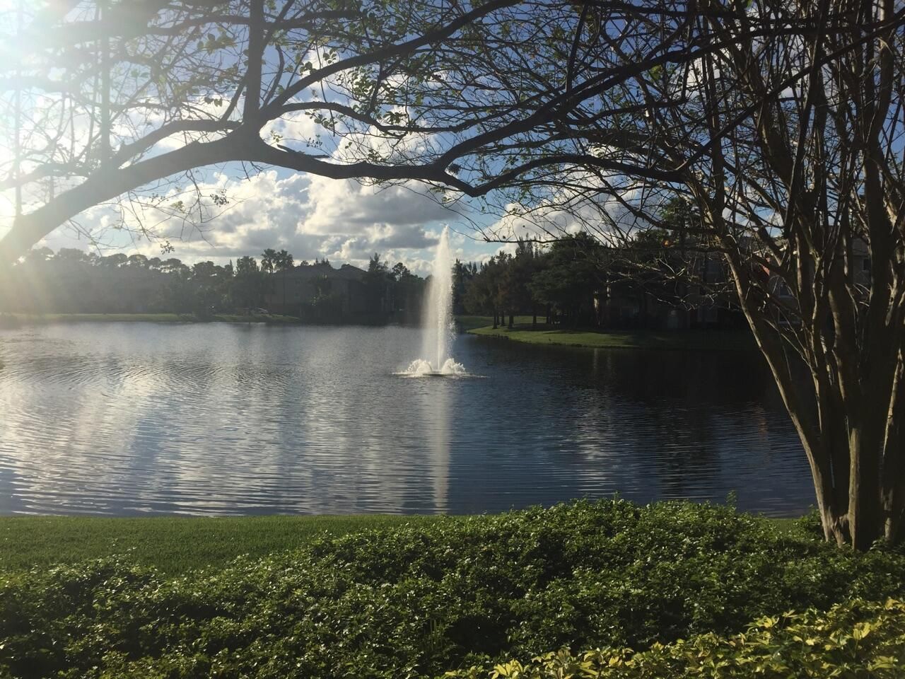 4163 N Haverhill Road, Unit 1217, West Palm Beach, FL 33417 Photo