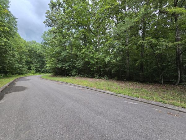 Lot 140 Lower Brow Road, Dunlap, TN 37327