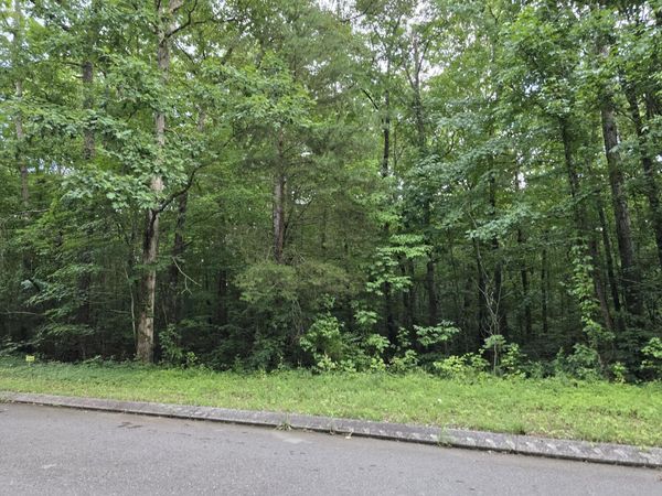 Lot 144 Lower Brow Road, Dunlap, TN 37327