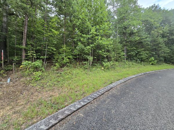 Lot 155 Lower Brow Road, Dunlap, TN 37327