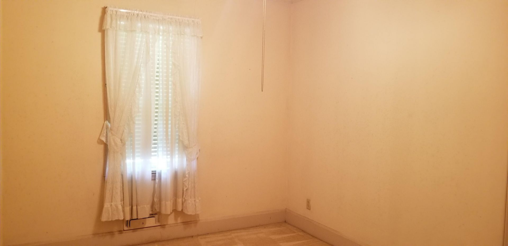 5464 Carolina Highway Photo 13