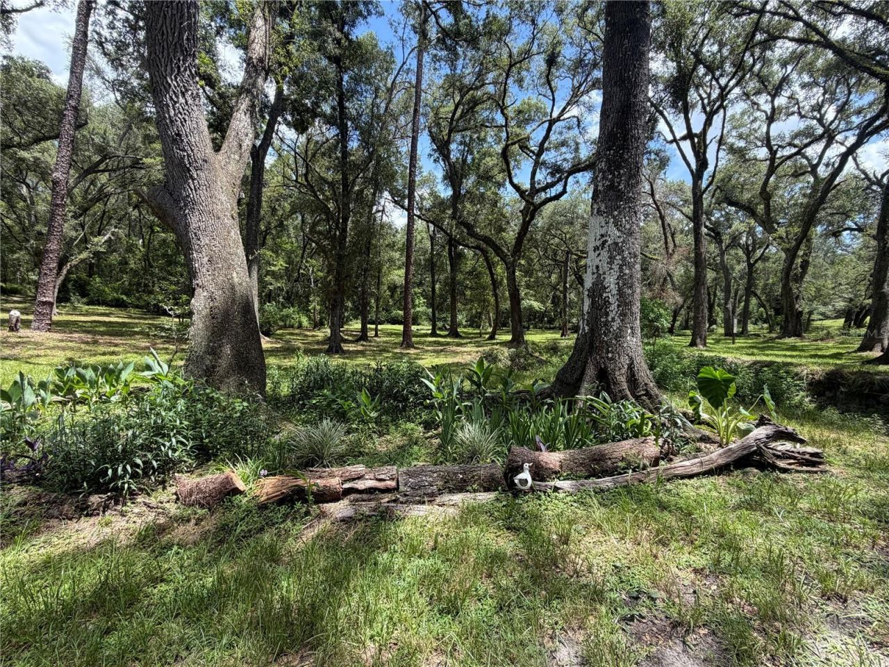 4875 SW County Road 240, Lake City, FL 32024 Photo