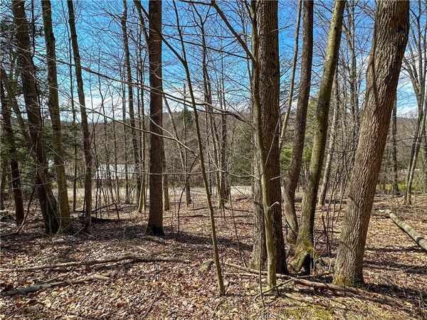 1232 Bell Hill Road , Lindley, NY 14858