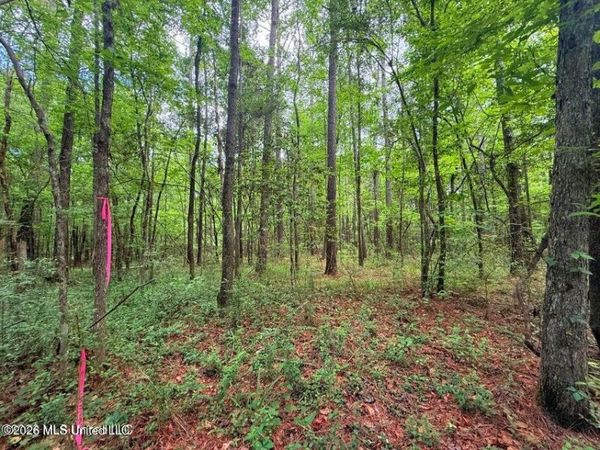 Us 98 Highway, Smithdale, MS 39664