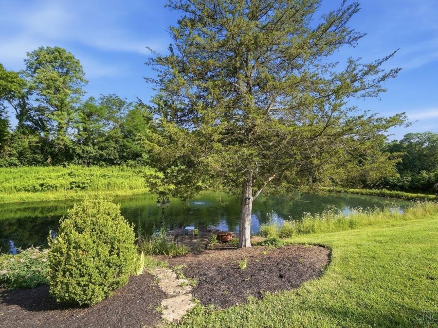 Property Image 87