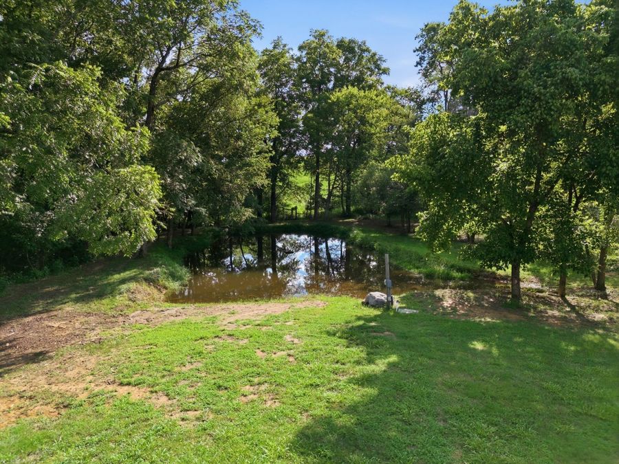 Property Image 64