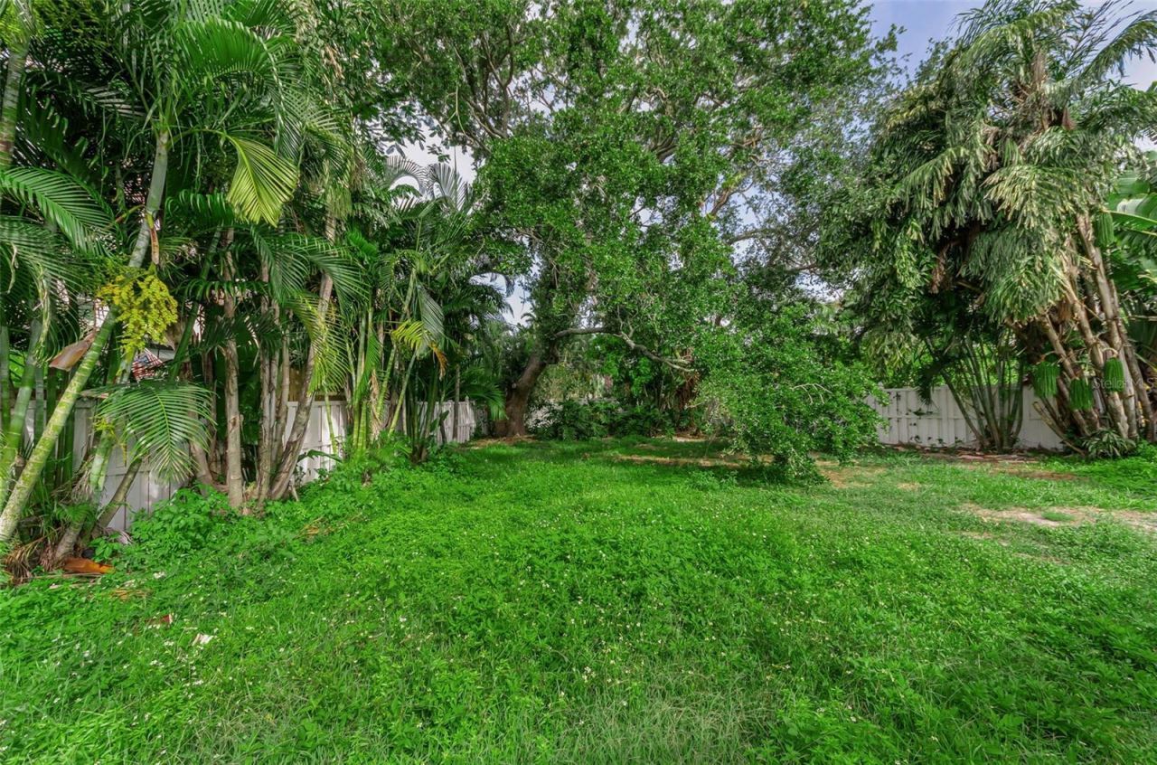 850 Rafael Boulevard Ne, Saint Petersburg, FL 33704 Photo