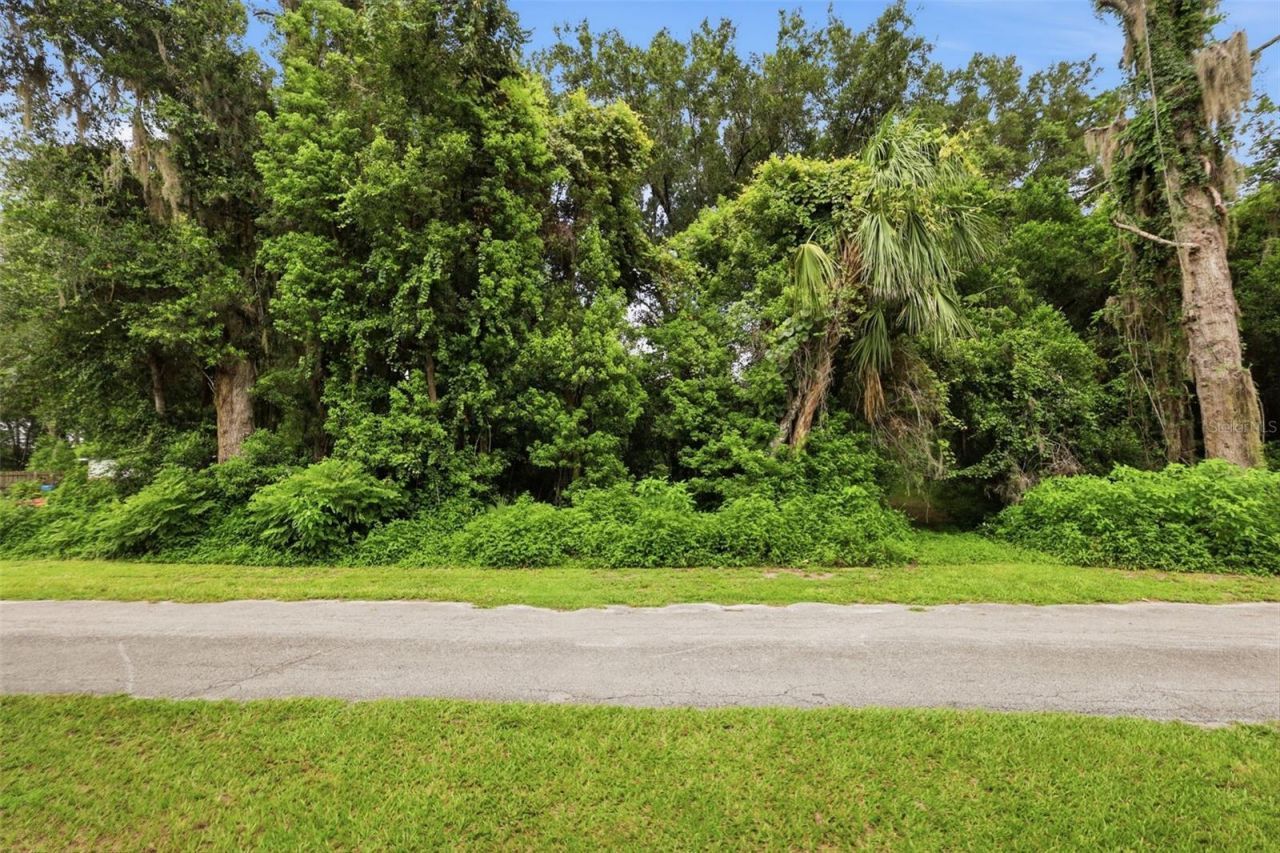 S Lakeview Drive, Lake Helen, FL 32744 Photo