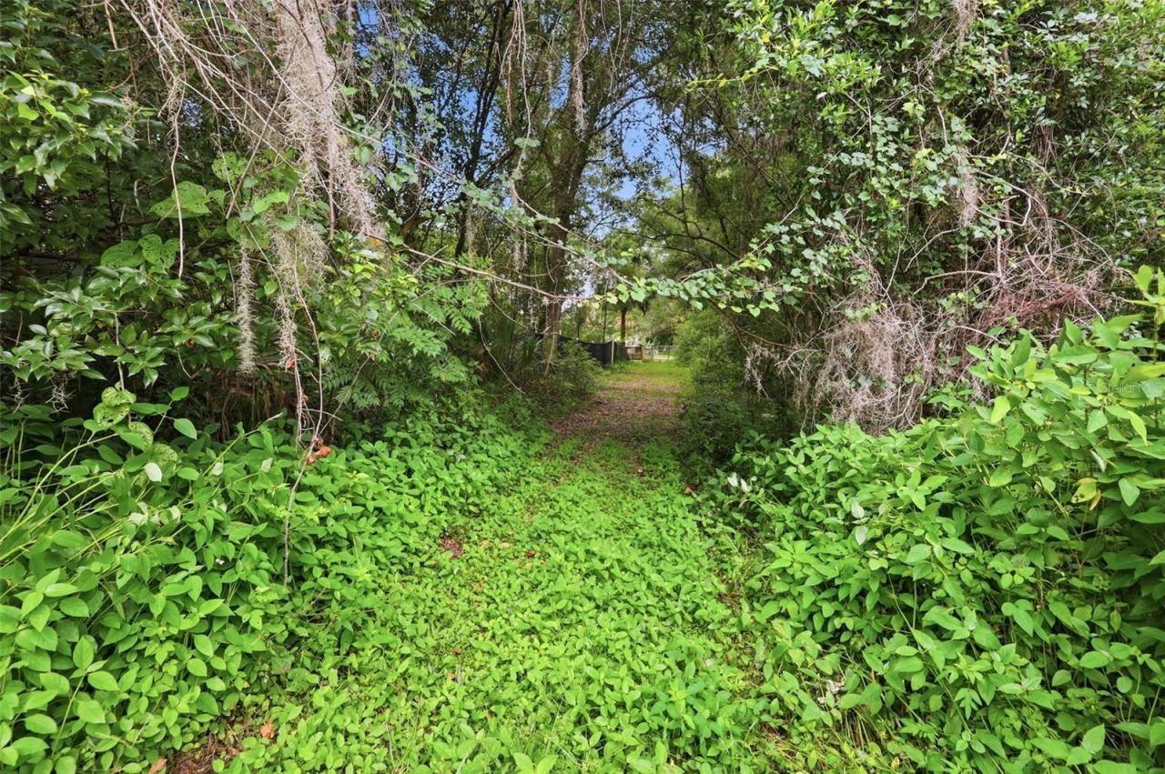 S Lakeview Drive, Lake Helen, FL 32744 Photo