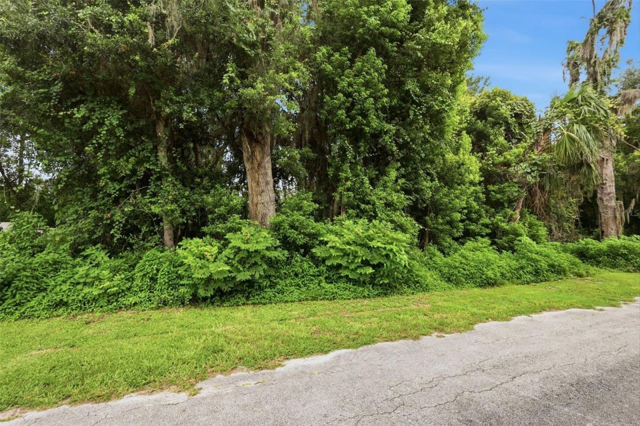 S Lakeview Drive, Lake Helen, FL 32744 Photo