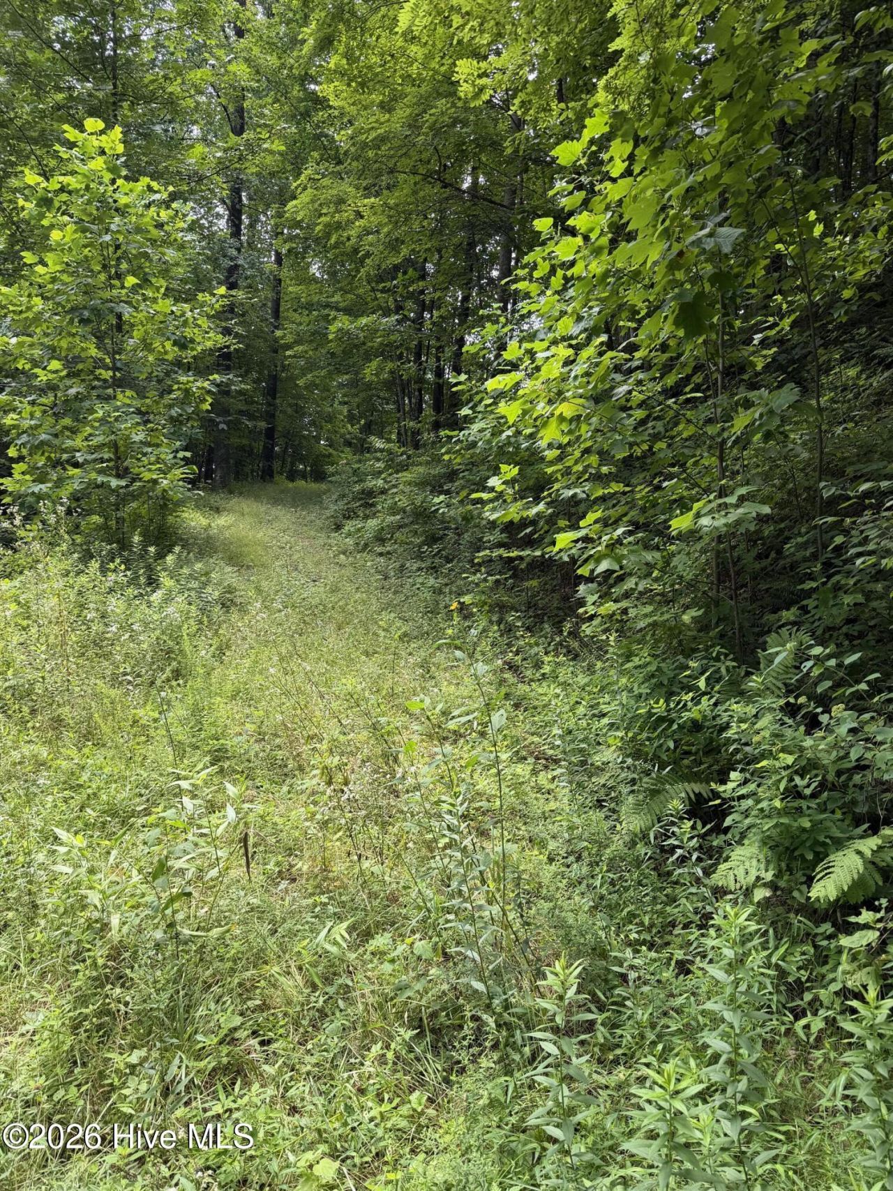 Lot 4 Outlook Road , Murphy, NC 28906 Main Photo