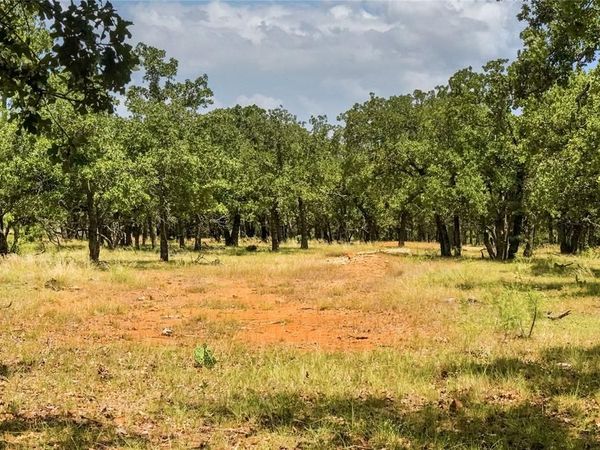 16.5 Acres Burwick Road , Jacksboro, TX 76458