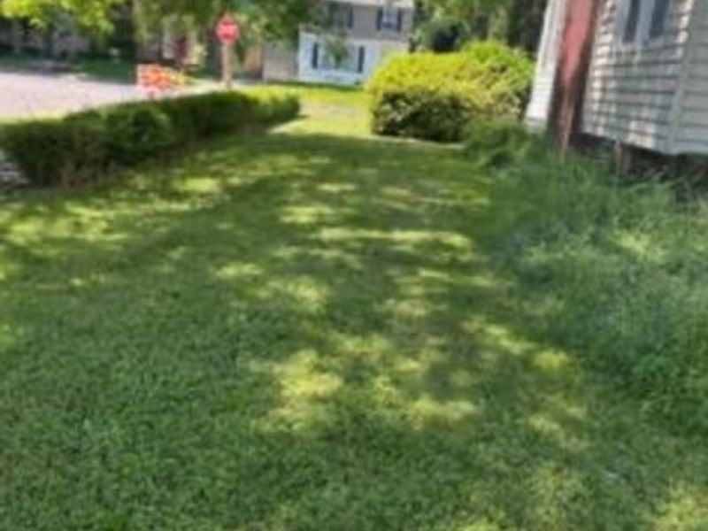 3970 Bluestone Road, Cleveland Heights, OH 44121 Photo 16