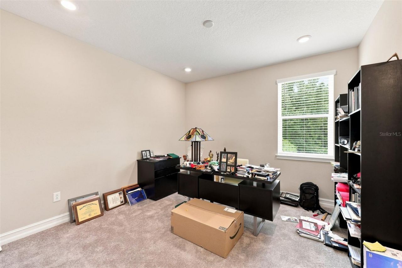3225 Cordoba Ranch Boulevard, Lutz, FL 33559 Photo
