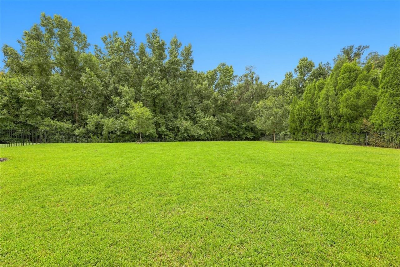 3225 Cordoba Ranch Boulevard, Lutz, FL 33559 Photo