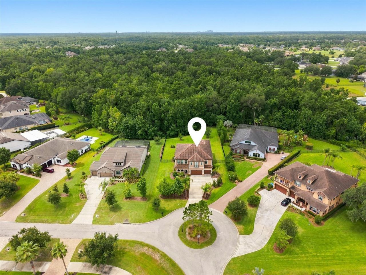 3225 Cordoba Ranch Boulevard, Lutz, FL 33559 Photo