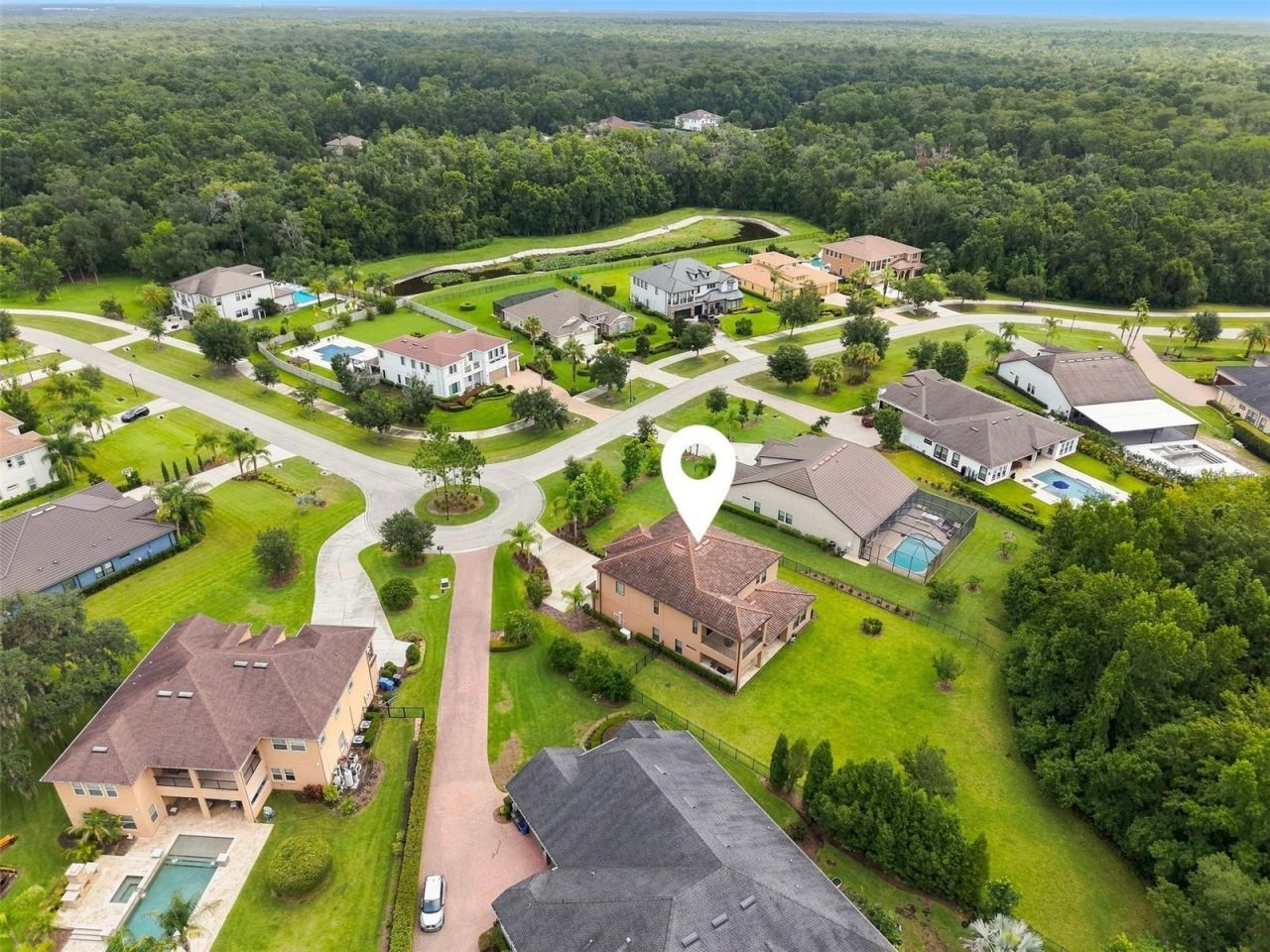 3225 Cordoba Ranch Boulevard, Lutz, FL 33559 Photo