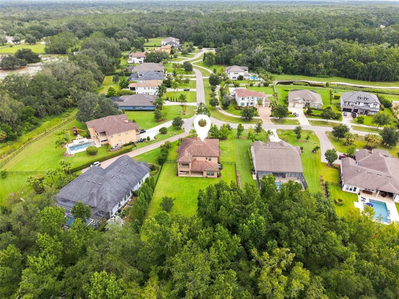 3225 Cordoba Ranch Boulevard, Lutz, FL 33559 Photo