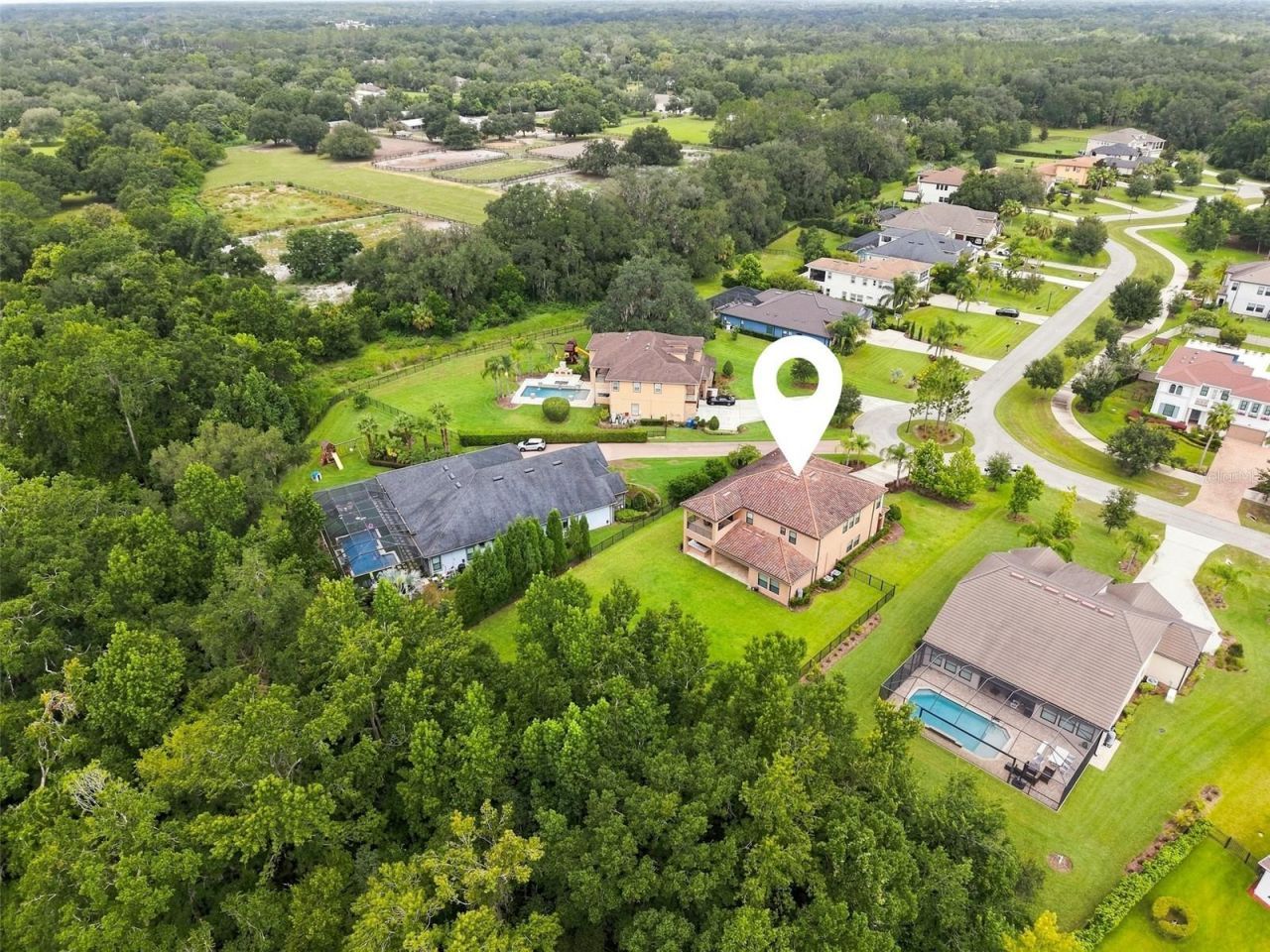 3225 Cordoba Ranch Boulevard, Lutz, FL 33559 Photo