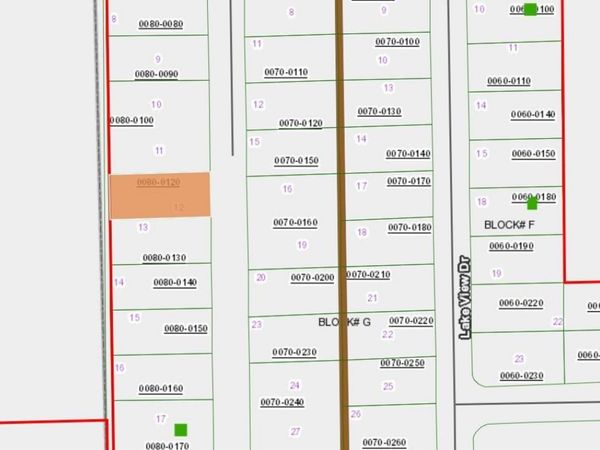 123 PEACH ORCHARD ROAD , POMONA PARK, FL 32181
