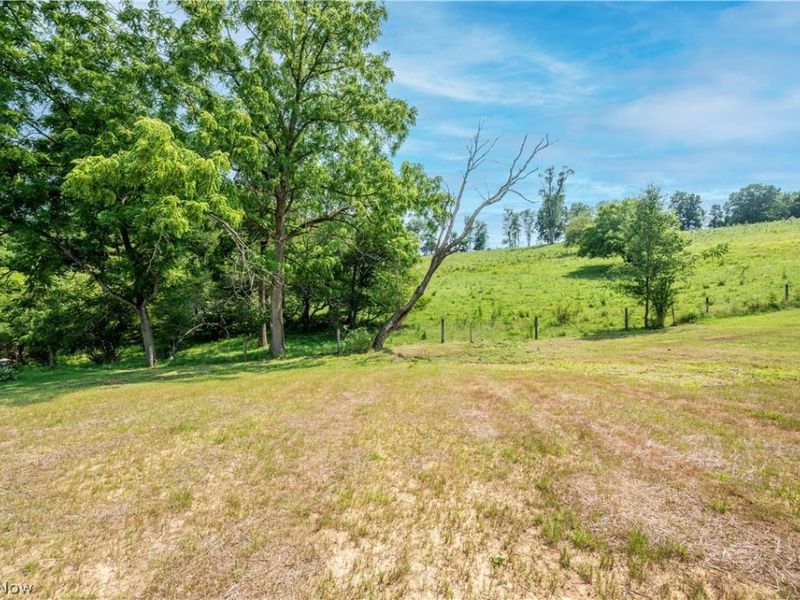 115 Hillside Drive, East Palestine, OH 44413 Photo 47
