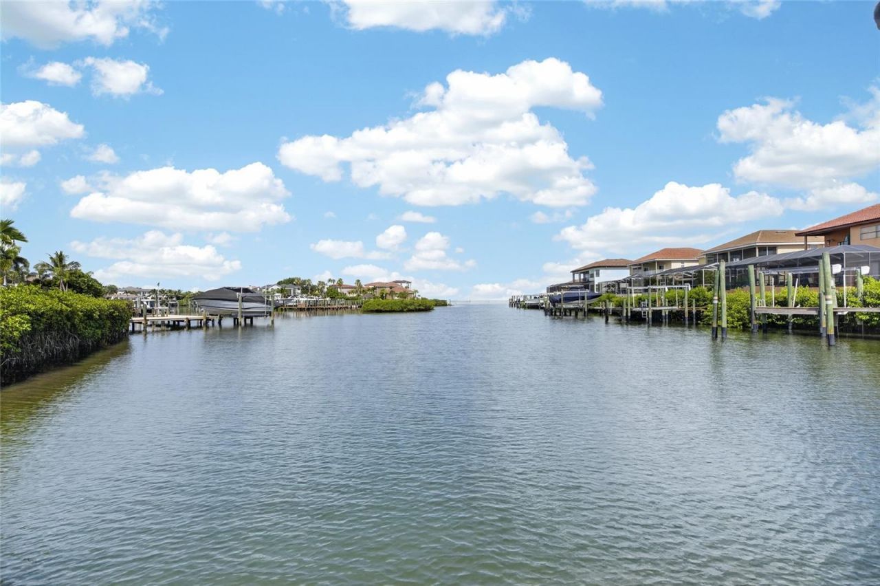 903 Capriccio Lane, Apollo Beach, FL 33572 Photo