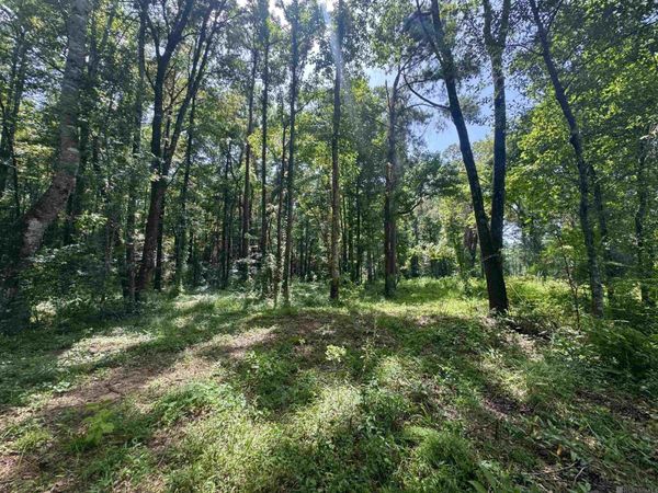 RS-9&10 Jh Jenkins Ln, Denham Springs, LA 70706