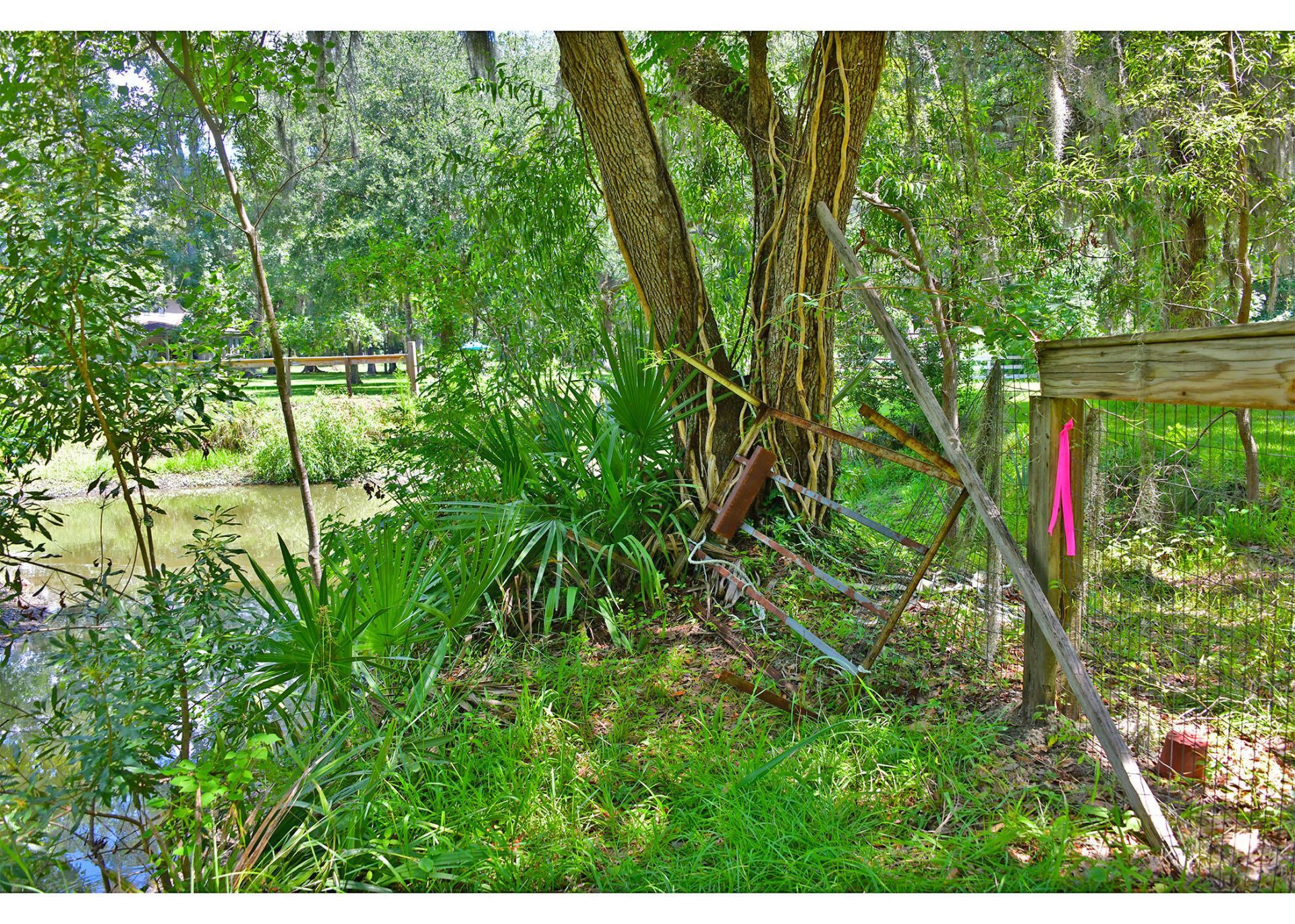5138 New Road Ext Photo 17