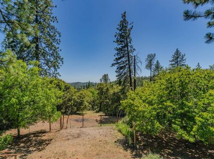 13291 Ponderosa Way, Jackson, CA 95642 Photo