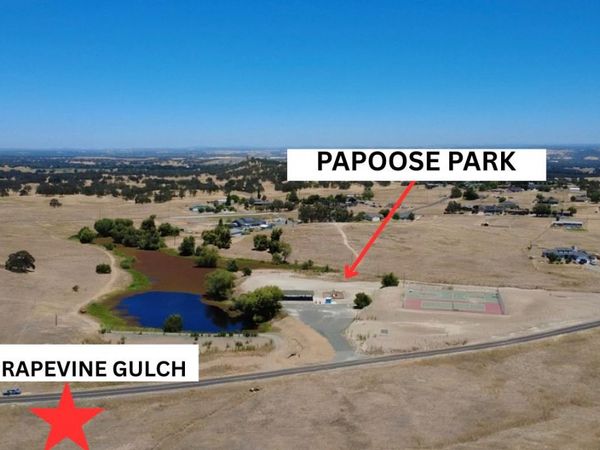 2470 Grapevine Gulch, Ione, CA 95640