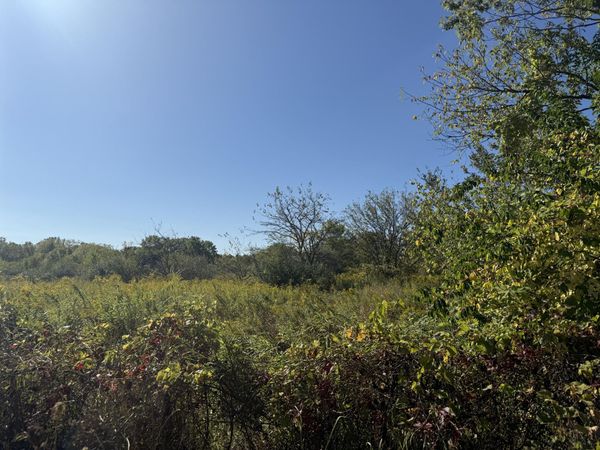 13129 Macon Road, Saline, MI 48176