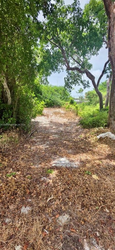 175 Plantation Shores Dr, Plantation Key, FL 33070 Photo