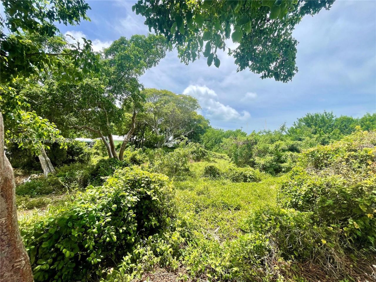 175 Plantation Shores Dr , Plantation Key, FL 33070 Photo
