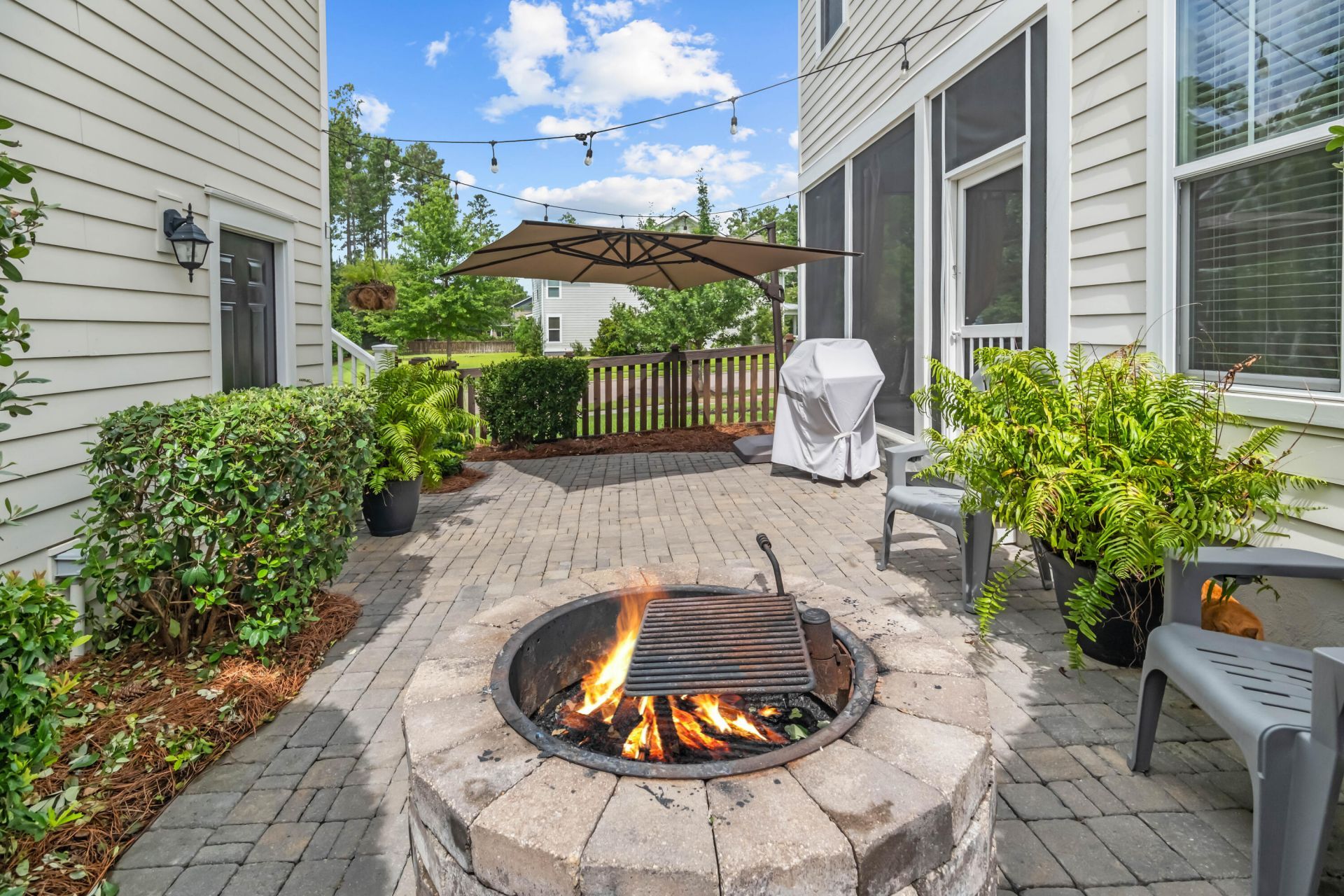 251 Ribbon Road Photo 61