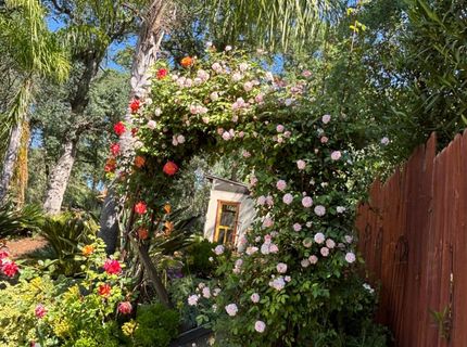 118 Hillswood, Folsom, CA 95630 Photo