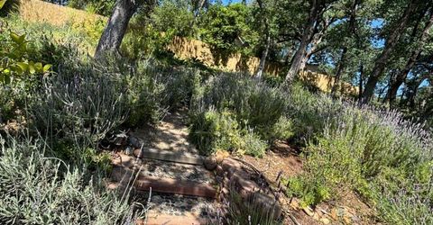118 Hillswood, Folsom, CA 95630 Photo